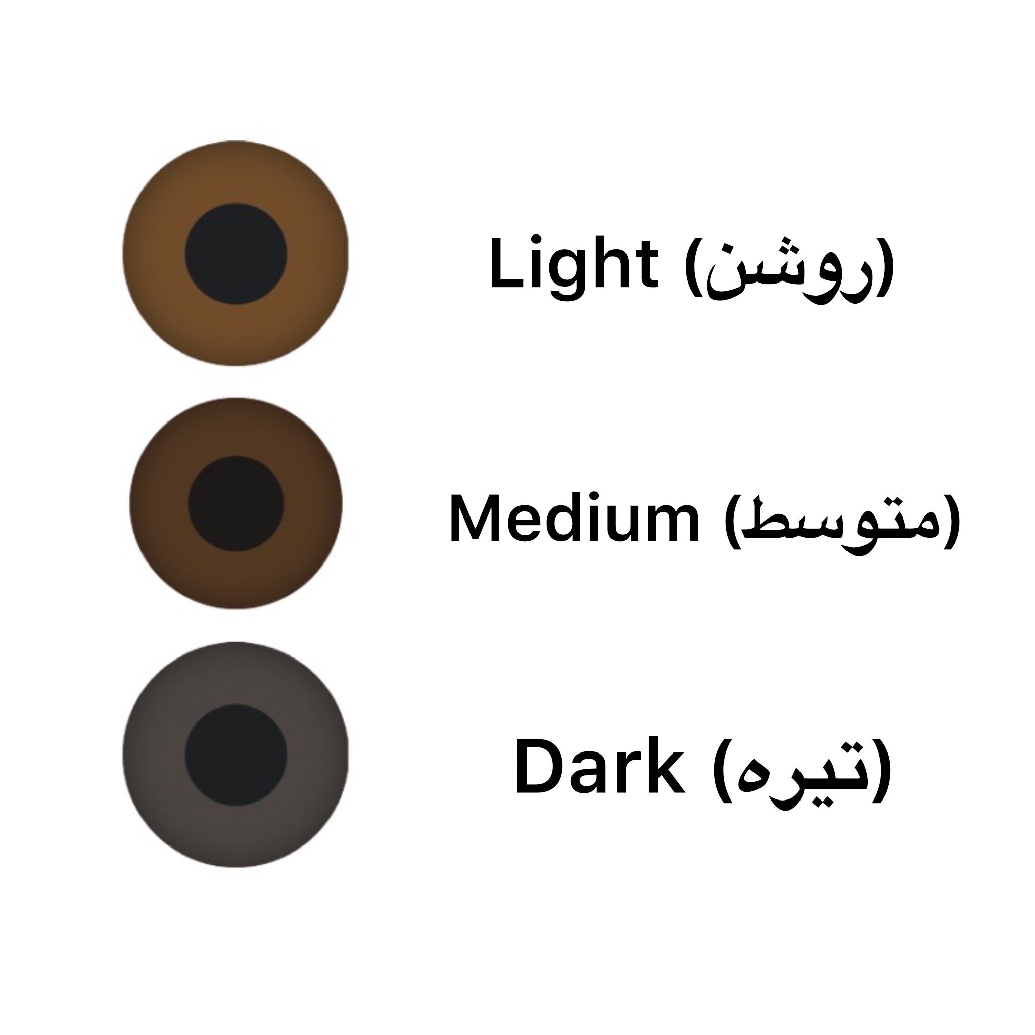 لنز بلک پوپیل هایدرو (Hydro Iris)
