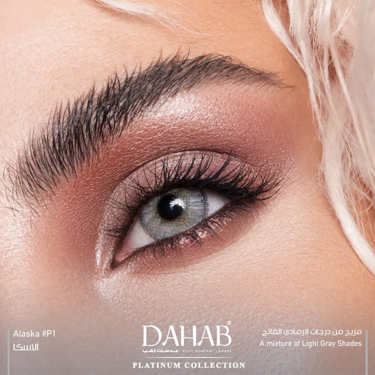 لنز رنگی سالانه دهب سری پلاتینیوم (Dahab)